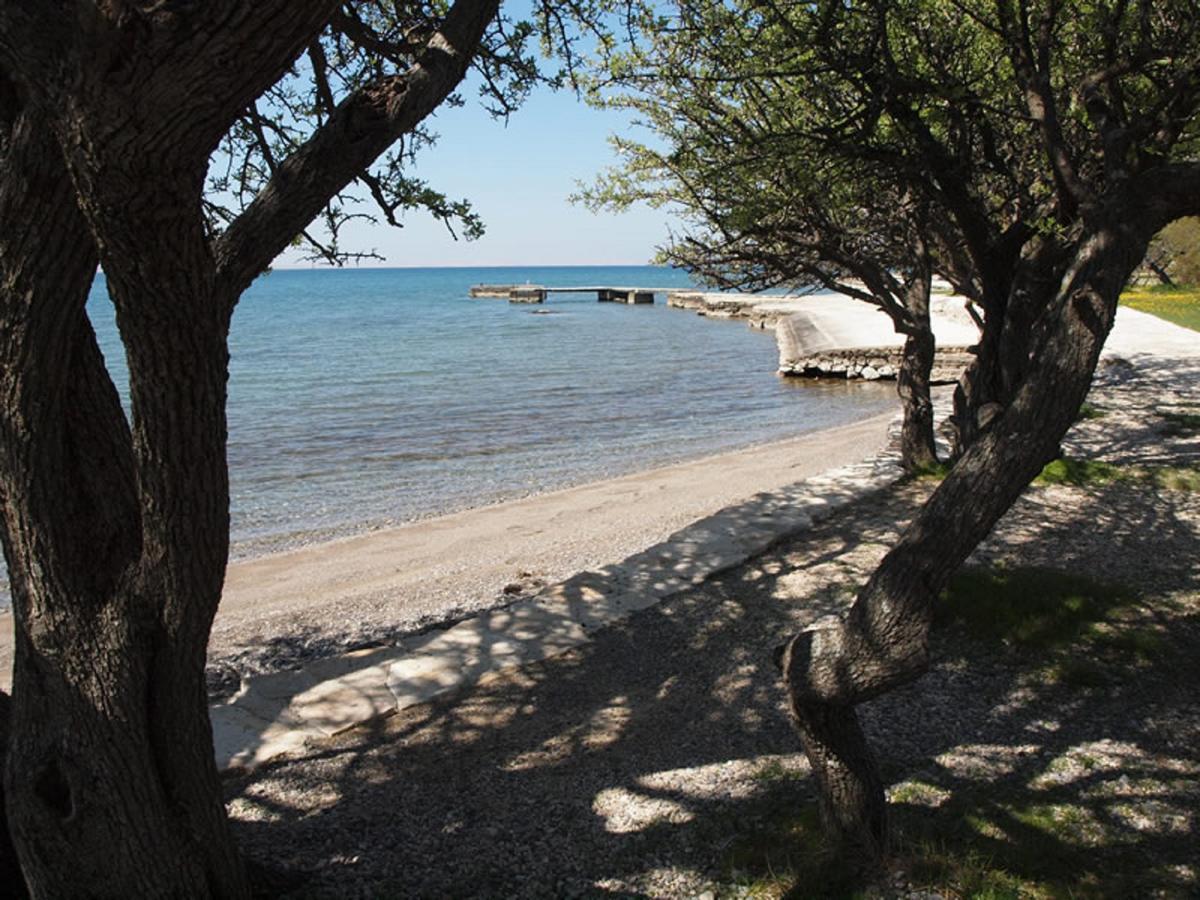 Apartments & Room Masa Starigrad Exterior photo